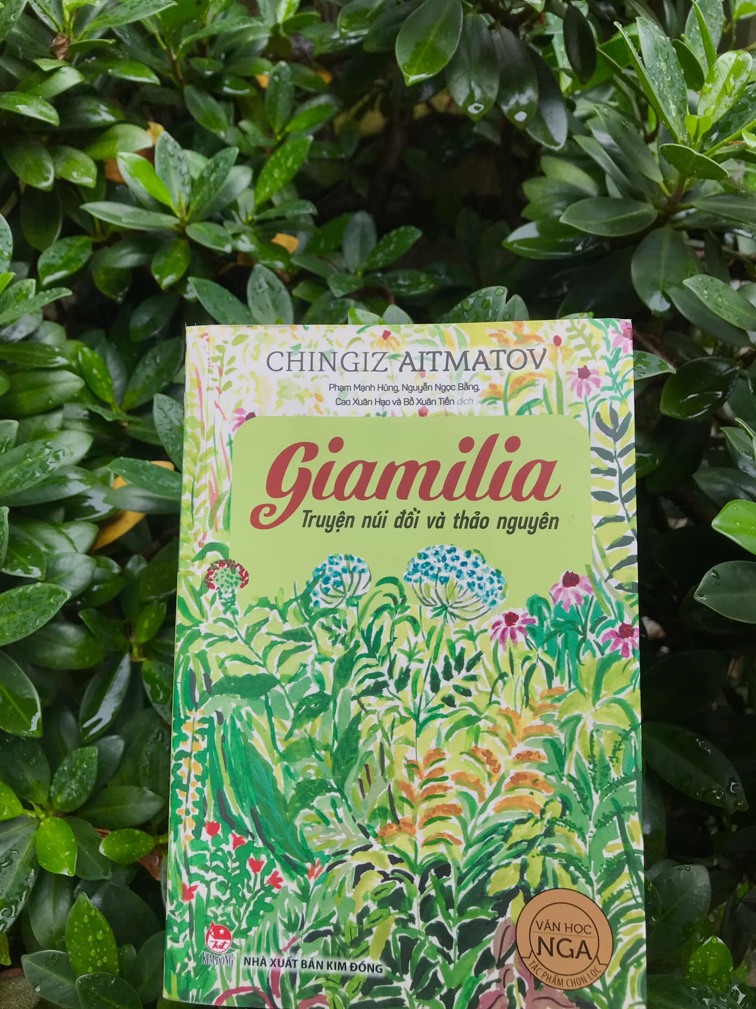 Review: Giamilia - Truyện núi đồi và thảo nguyên