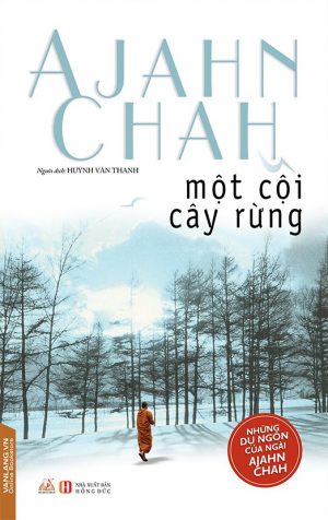 Một Cội Cây Rừng - Ajahn Chah