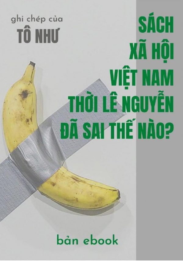 Sách Xã Hội Việt Nam Thời Lê Nguyễn Đã Sai Thế Nào?