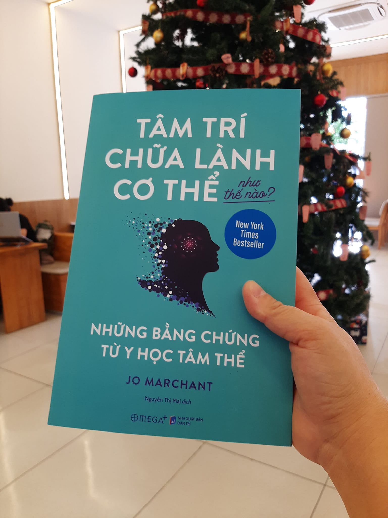 Review: Tâm Trí Chữa Lành Cơ Thể Như Thế Nào? Những bằng chứng từ y học tâm thể