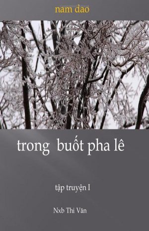 Trong Buốt Pha Lê - Nam Dao